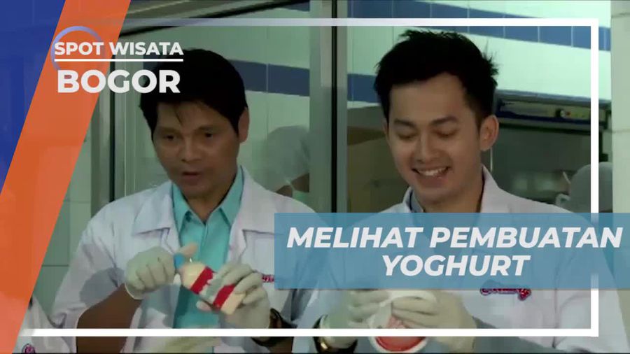 Mengetahui Proses Pembuatan Yogurt di Cimory, Bogor