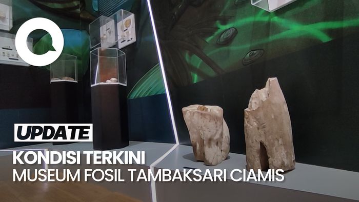 Ditata Lebih Rapi, Kini Museum Fosil Tambaksari Mulai Banyak Dikunjungi
