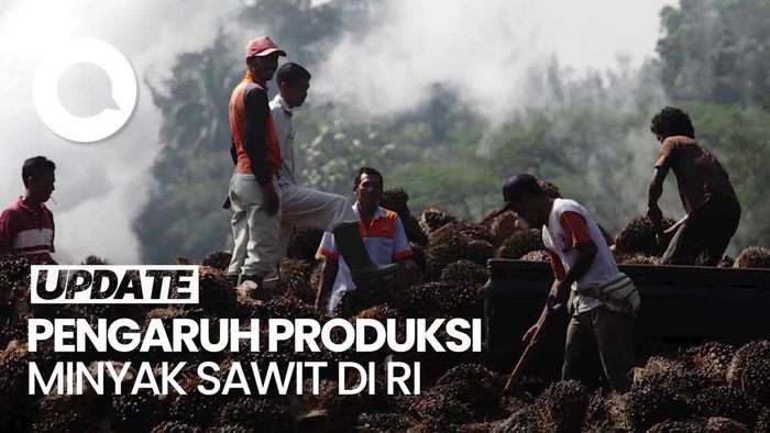Bill Gates Sebut Indonesia Berkontribusi Sumbang Emisi Global