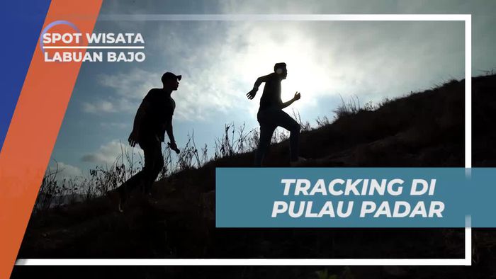 Tracking Seru di Pulau Padar Labuan Bajo