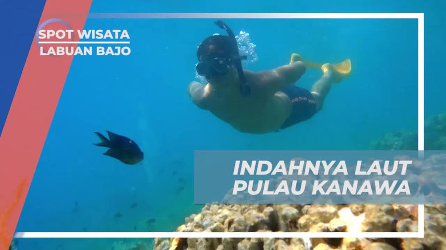 Menyelami Keindahan Laut Pulau Kanawa, Labuan Bajo
