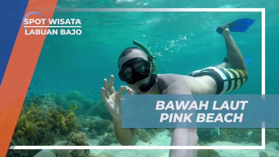 Menjelajah Bawah Laut Pink Beach, Labuan Bajo