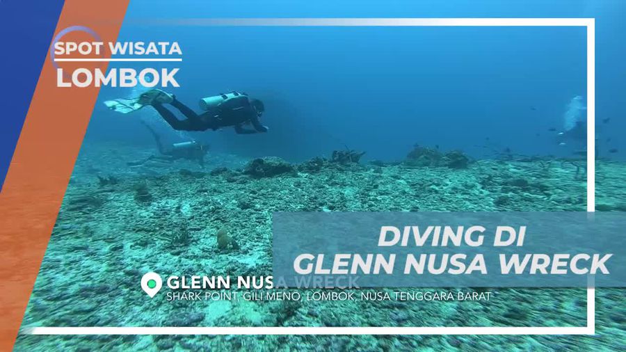Menyelam di Spot Menawan Glenn Nusa Wreck, Lombok