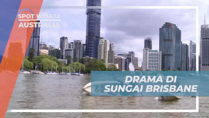 Drama Seru Saat Berlomba Kayak di Sungai Brisbane, Australia