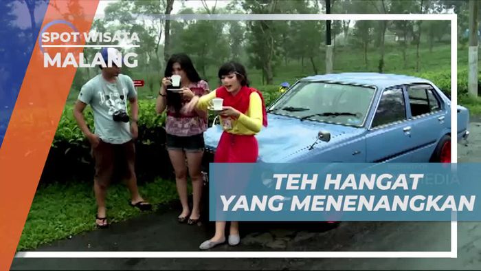 Menikmati Teh Hangat yang Menenangkan di Kebun Wonosari, Kota Malang