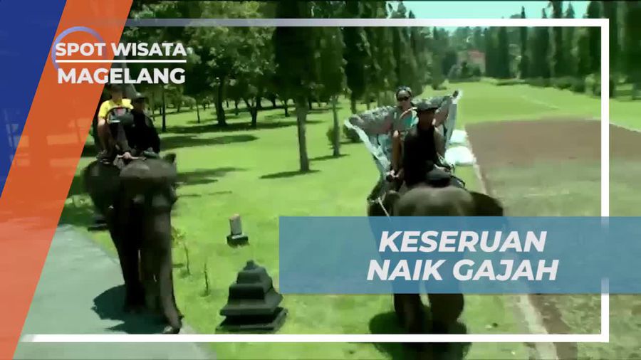 Pengalaman Seru Naik Gajah di Kawasan Borobudur, Magelang