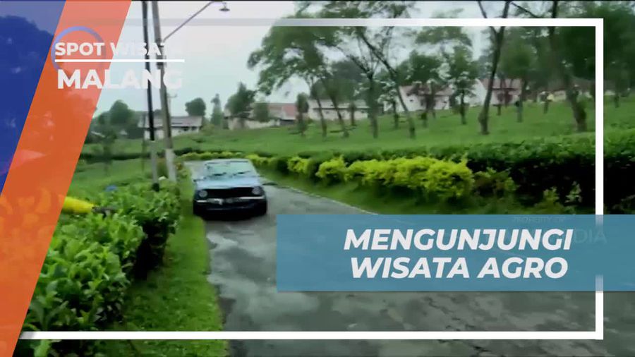 Menikmati Wisata Agro Wonosari di Tengah Hamparan Kebun Teh, Kota Malang
