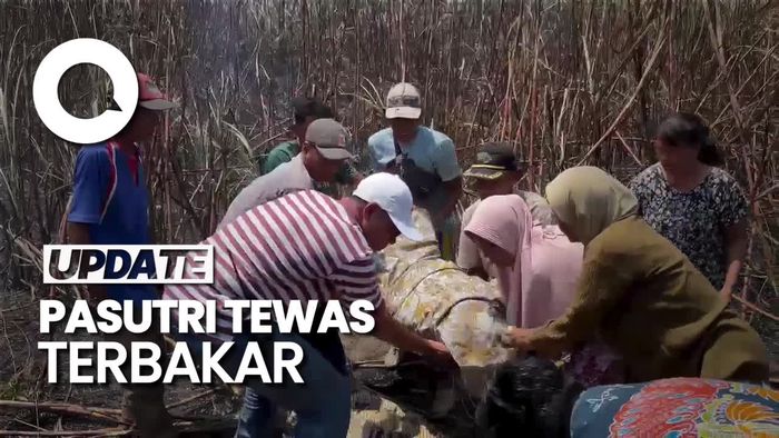 Video: Pasutri Terbakar di Lahan Tebu Lumajang, Istri Tewas Terpanggang