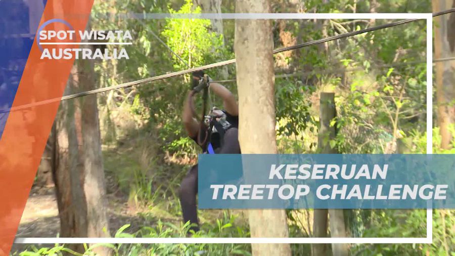 Keseruan Tantangan di Treetop Challenge, Australia