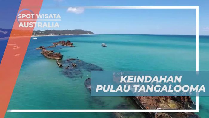 Menjelajahi Keindahan Pulau Tangalooma, Australia