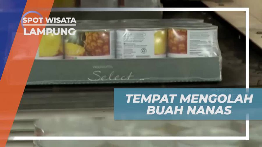 Mengamati Proses Pengolahan Buah Nanas di Lampung