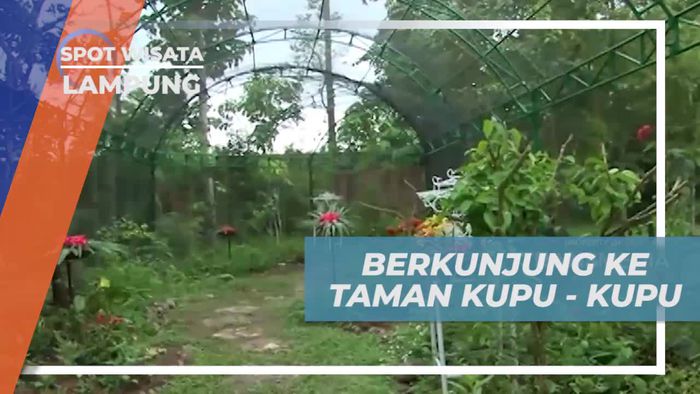 Mengagumi Keindahan Taman Kupu-Kupu di Lampung