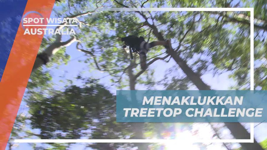 Berhasil Menaklukkan Rintangan di Treetop Challenge, Australia