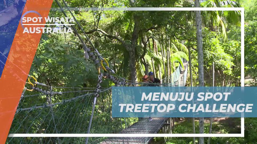 Mengunjungi Spot Ekstrem Treetop Challenge di Australia
