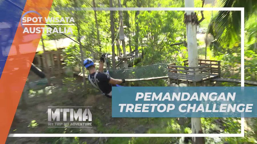 Menikmati Pemandangan Indah di Treetop Challenge, Australia