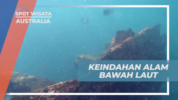 Menikmati Keindahan Alam Bawah Laut di Australia