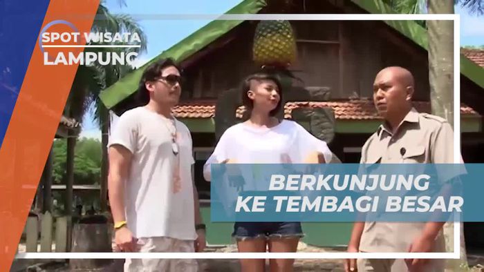 Mengunjungi Kebun Nanas di Tembagi Besar, Lampung