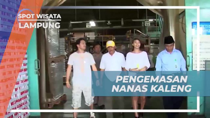 Melihat Pengemasan Nanas Kalengan di Lampung