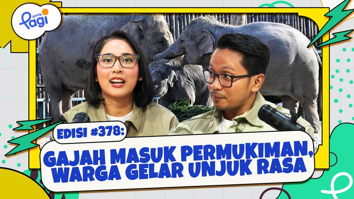 Gajah Masuk Permukiman, Warga Gelar Unjuk Rasa