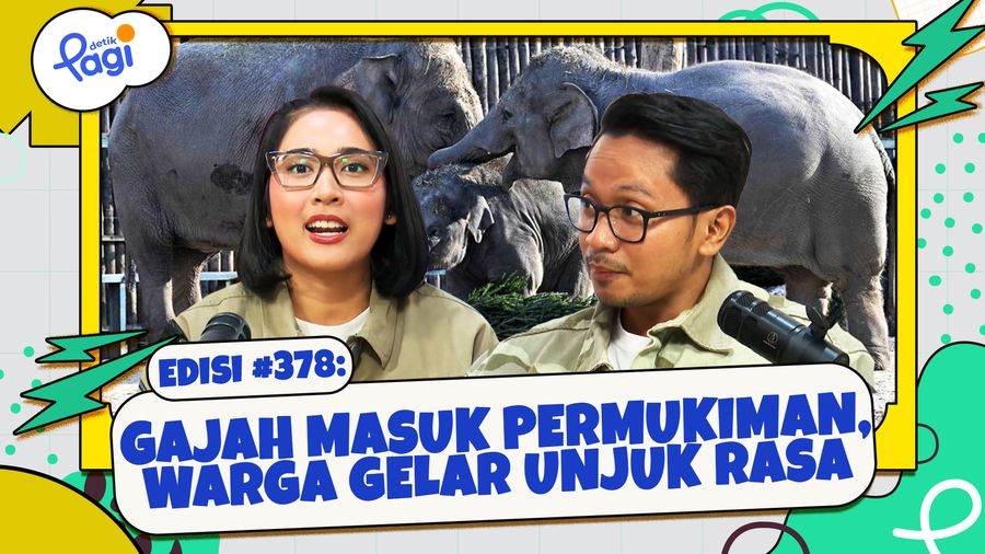 Gajah Masuk Permukiman, Warga Gelar Unjuk Rasa