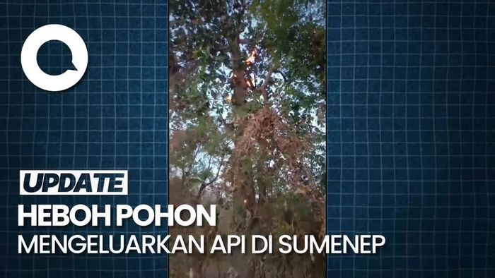 Video Pohon Mengeluarkan Api di Madura, Polisi: Bukan Fenomena Gaib