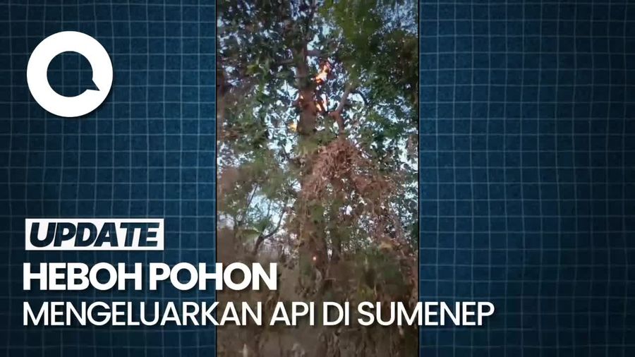 Video Pohon Mengeluarkan Api di Madura, Polisi: Bukan Fenomena Gaib