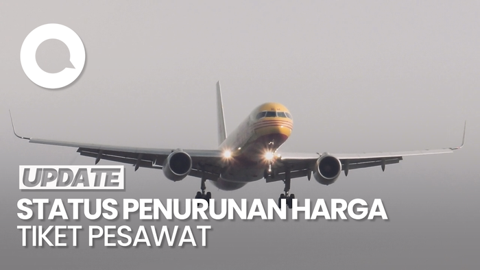 Kata Kemenparekraf soal Status Penurunan Harga Tiket Pesawat