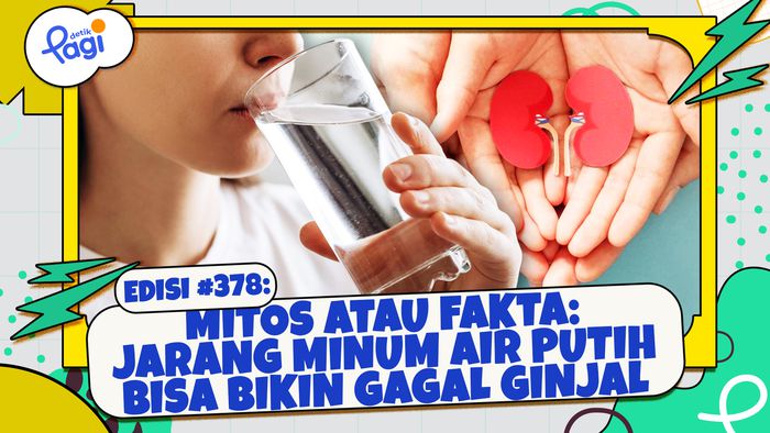 Mitos atau Fakta: Jarang Minum Air Putih Bisa Bikin Gagal Ginjal
