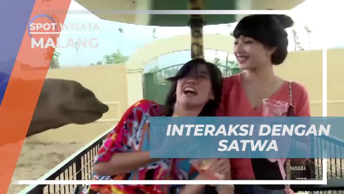 Berinteraksi dengan Satwa di Kebun Binatang Kota Malang