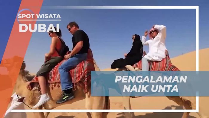 Mencoba Pengalaman Menunggang Unta di Gurun Pasir Dubai