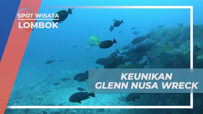 Menyelami Keunikan Glenn Nusa Wreck di Lombok