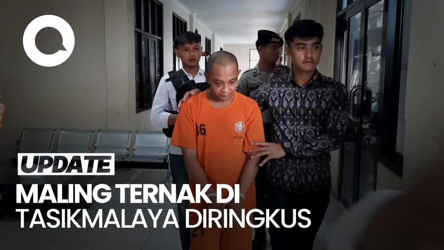 Video: Maling Ternak di Tasikmalaya Ketahuan Gegara Kambing Loncat
