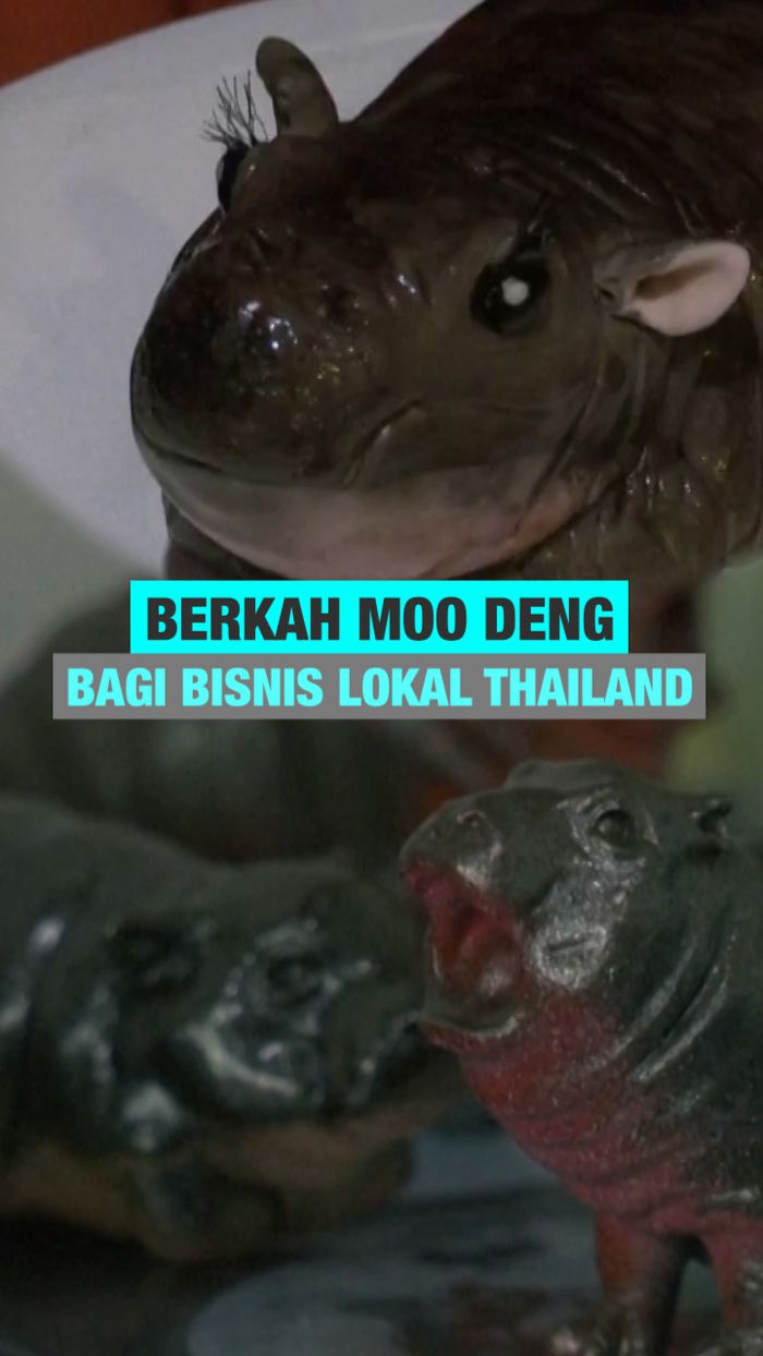 Video: Tren Serba Moo Deng di Thailand