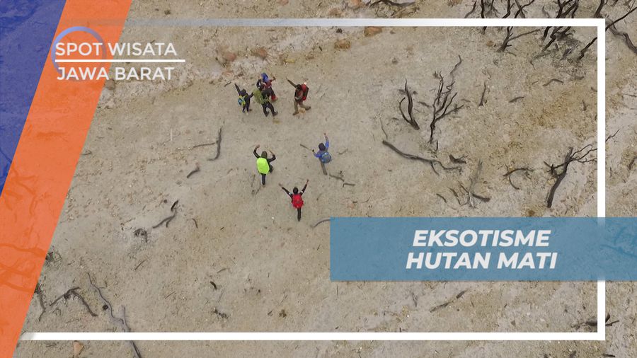 Menelusuri Eksotisme Hutan Mati di Gunung Papandayan Tasikmalaya