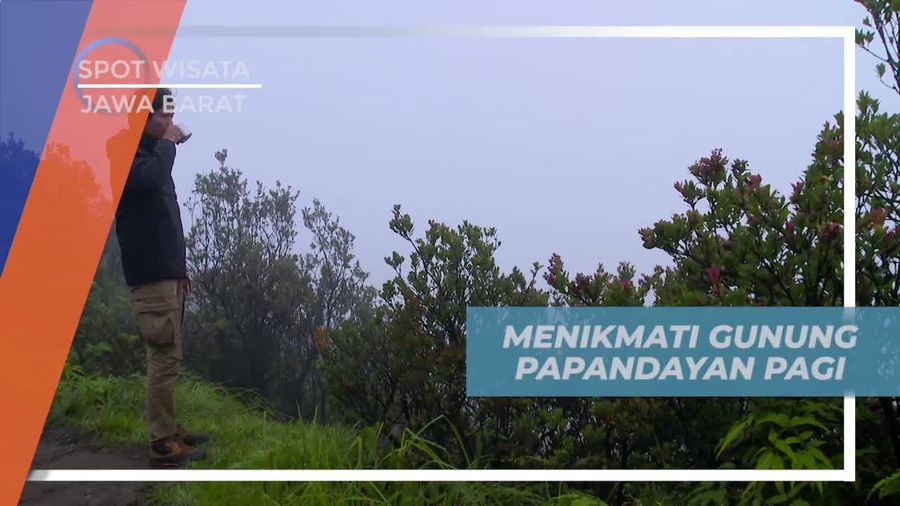 Menyaksikan Keindahan Gunung Papandayan di Pagi Hari