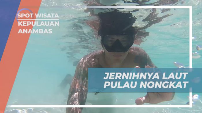 Menyelam di Laut Jernih Pulau Nongkat, Kepulauan Anambas