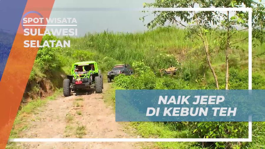 Menjelajahi Kebun Teh dengan Jeep Menuju Malino Highland, Sulawesi Selatan