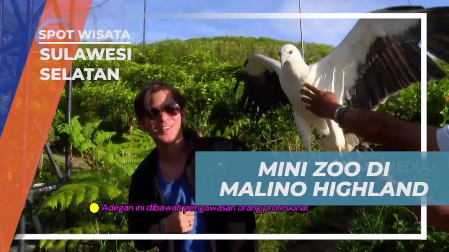 Mengunjungi Mini Zoo Seru di Malino Highland, Sulawesi Selatan