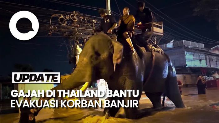 Video: Momen Gajah-gajah Dikerahkan untuk Evakuasi Korban Banjir di Thailand