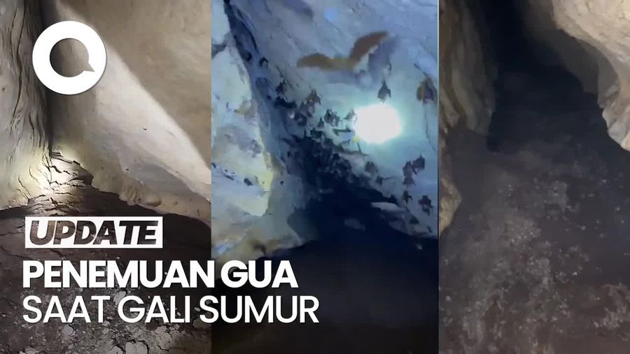 Video Gua Penuh Kelelawar Ditemukan Warga Lamongan Saat Gali Sumur