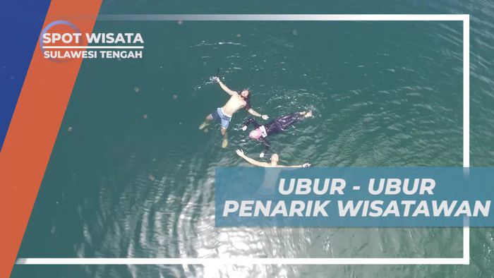 Menarik Wisatawan dengan Keunikan Ubur-ubur di Danau Mariona, Sulawesi Tengah