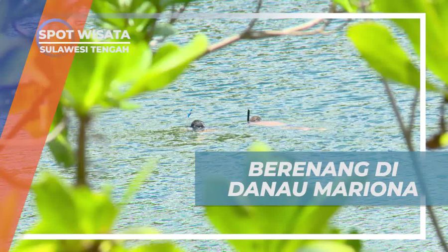 Berenang Menikmati Kesegaran Air Danau Mariona, Sulawesi Tengah