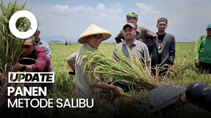 Video Fadli Zon Ikut Panen Padi Salibu di Kabupaten Bandung