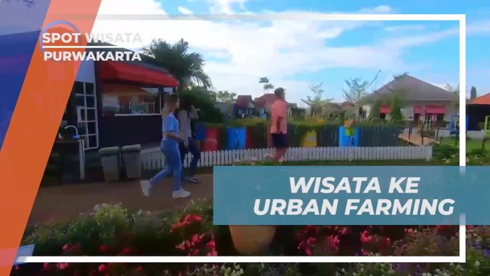 Menggali Pengalaman Berkebun di Urban Farming, Purwakarta