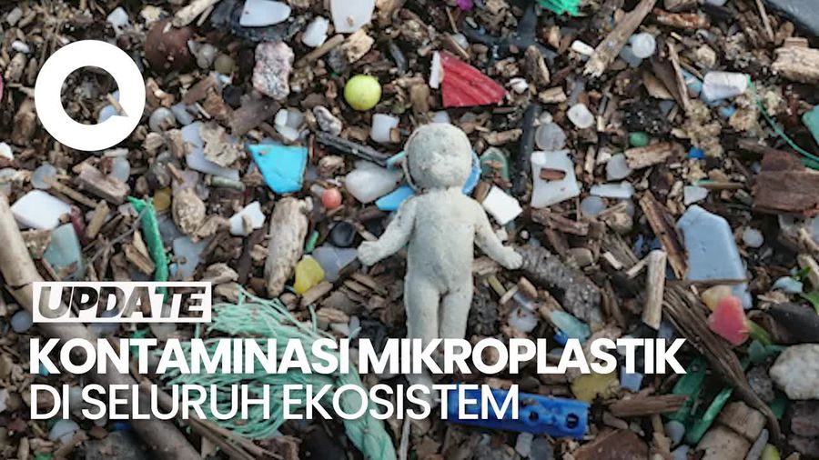 Video Peneliti BRIN: Seluruh Ekosistem Terkontaminasi Mikroplastik