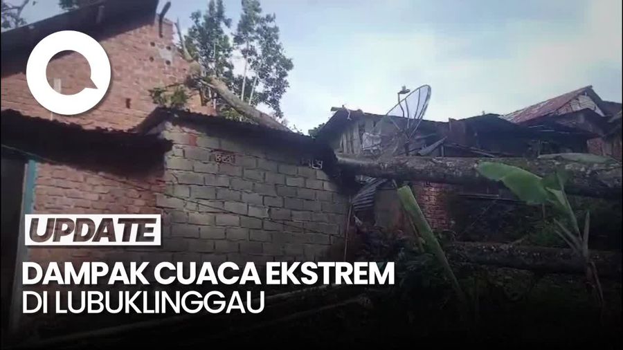Video: Hujan Angin Dahsyat Bikin 2 Rumah di Lubuklinggau Hancur Tertimpa Pohon
