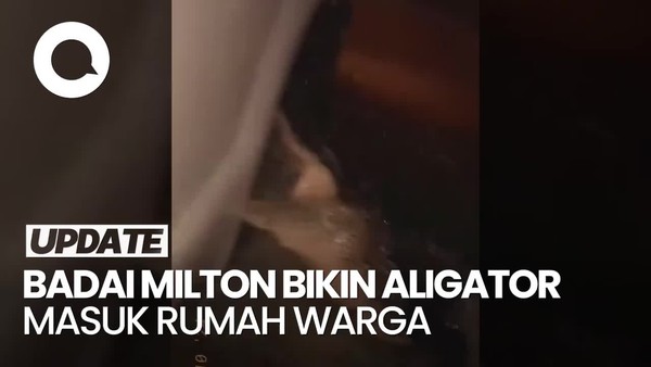 Video Viral Perumahan Warga Diserbu Aligator Setelah Badai Milton