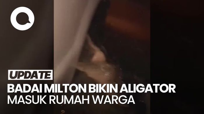 Video Viral Perumahan Warga Diserbu Aligator Setelah Badai Milton