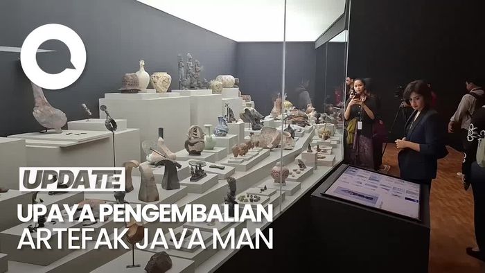 Video: Museum Nasional Berusaha Bawa Artefak Java Man ke Indonesia