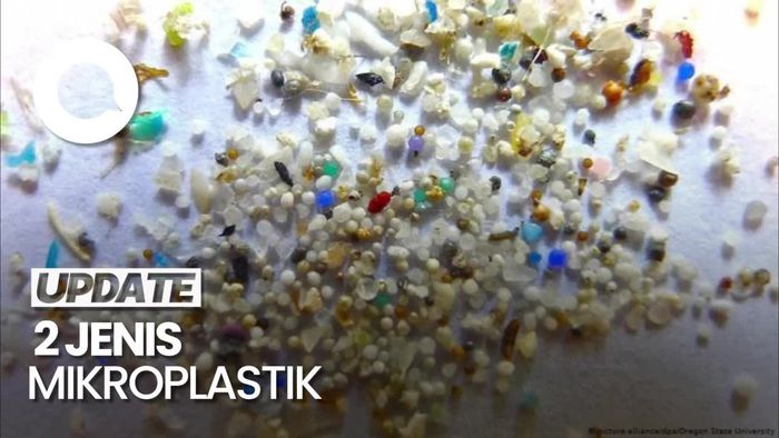 Video: Mengenal 2 Jenis Mikroplastik di Lingkungan Sehari-hari